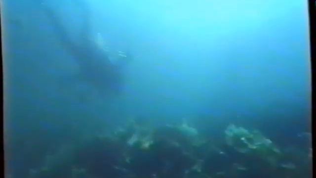 Охотское море. Эвенск смотреть онлайн