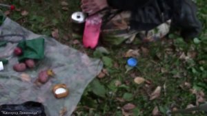 Речные мидии жареные с помидором и яйцом + Шомпольный хлеб