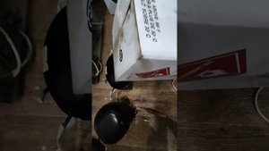 Ремонт и чистка манометрического электронного коллектора