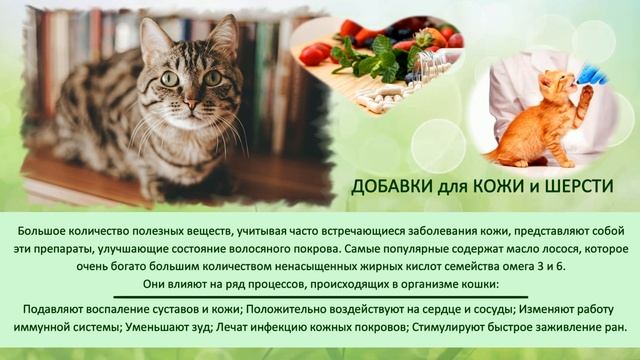 Польза кошек