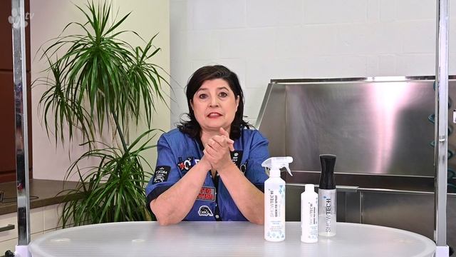 Show Tech+ Quick Fix Spray | TRANSGROOM