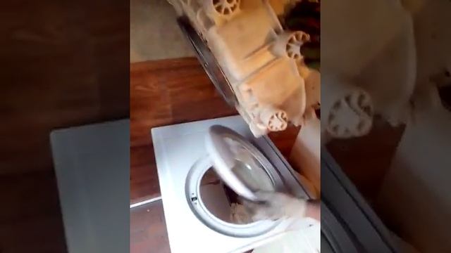У стиральной машины сломался продшибники