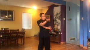 Baguazhang (Ba Gua) Demonstration, Palm 5 of the 7th Set of the Cheng Style 64 Palm System