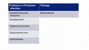 USMLE RX - 7.Микробиология - 1.Антимикробные средства - 35.Антипротозойная терапия