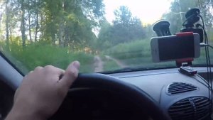 Как меня обманули кролиководы с Авито. Мой первый опыт покупки кроликов по объявлениям.