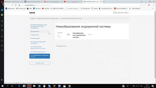 Инструкция использования личного кабинета ученика в Автовебофисе. смотреть онлайн