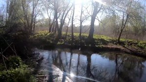 Рыбалка на Поплавок в микро речке.