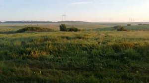 18-07-20 Веселовские испытания по перепелу, Налесный А.А..mp4