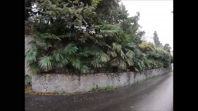КУПИТЬ КВАРТИРУ С РЕМОНТОМ И ВИДОМ НА МОРЕ В РАЙОНЕ СВЕТЛАНА | Недвижимость в Сочи