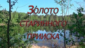 Поиск золотых самородков на старинном прииске!!!