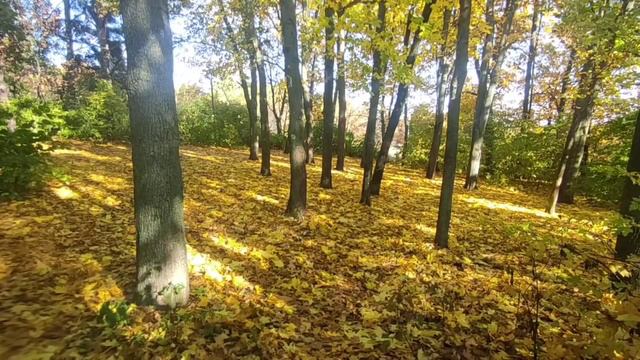 Сброс негативной кармы от высоких родов. За это им пора на дно. 15.10.21. Миротворец80 смотреть онлайн