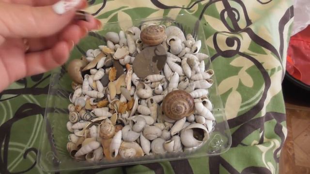 BLOG /Крым/ Мой кошмар/Мои новые друзья смотреть онлайн