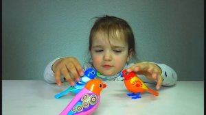 DigiBirds Птички Поющие Птички поют разные мелодии