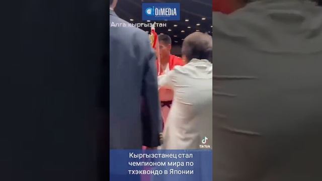 Кыргызстанец стал чемпионом мира по тхэквондо в Японии