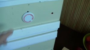 Как сушильный шкаф Дачник 4 сушит ягоды шиповника