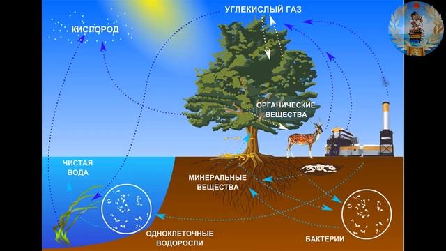 Географическая оболочка. Урок географии 6 класс.