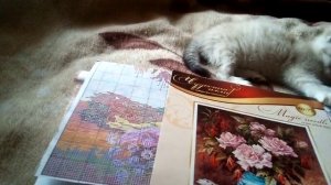 Отшив проект от "Чудесная игла" Розы и фуксии отчет 10