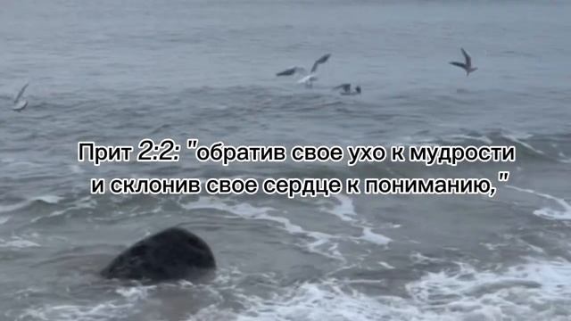 Достоинство Мудрости! смотреть онлайн