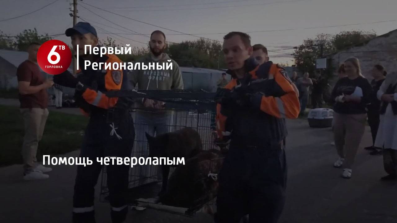 Помощь четверолапым