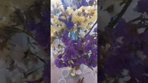 Дарите женщинам цветы, клип на песню