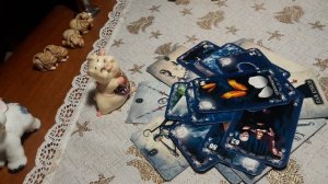 "Был ли переклад,крадник с Вас "???онлайн расклад