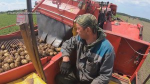 На полях Стародубского района Брянщины полным ходом идет уборка урожая
