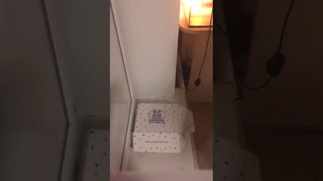 Первое ?