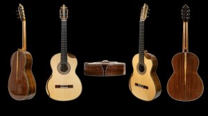 Амазонский палисандр-Ель.mp4