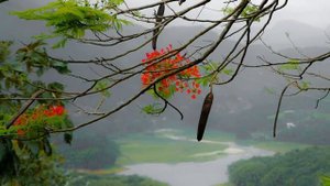 Песни про любовь, Синеокая.mp4