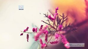 Скачиваем d3dx9_31.dll и устраняем ошибки