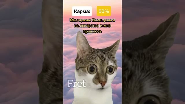 По карме собака отправляет в рай😱 #котики #мем #рекомендации