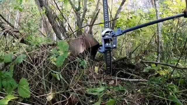 Кольцевики Александра смотреть онлайн