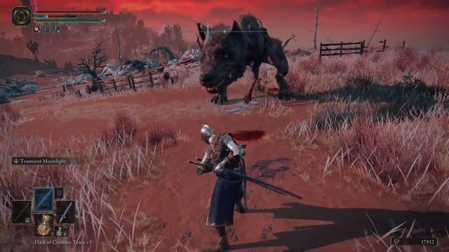 I am the storm that is approaching Elden Ring смотреть онлайн