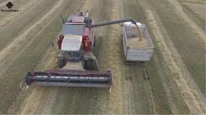 Уборка пшеницы зерноуборочный комбайн КЗС-1218 «ПАЛЕССЕ GS12»