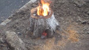 Горящий пенек ("финская свеча" в городе)