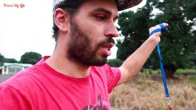 СЕЗОН ДОЖДЕЙ И НАСЕКОМЫХ | МОЯ РАБОТА | КОСТА-РИКА смотреть онлайн