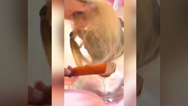 Прически для девочек к 1 сентября 🥰 сохраняйте, чтобы не потерять🎉