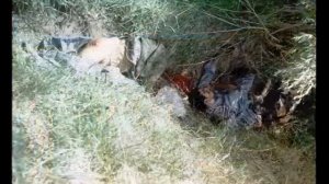 Голубые береты. Афганистан . Ну что братан