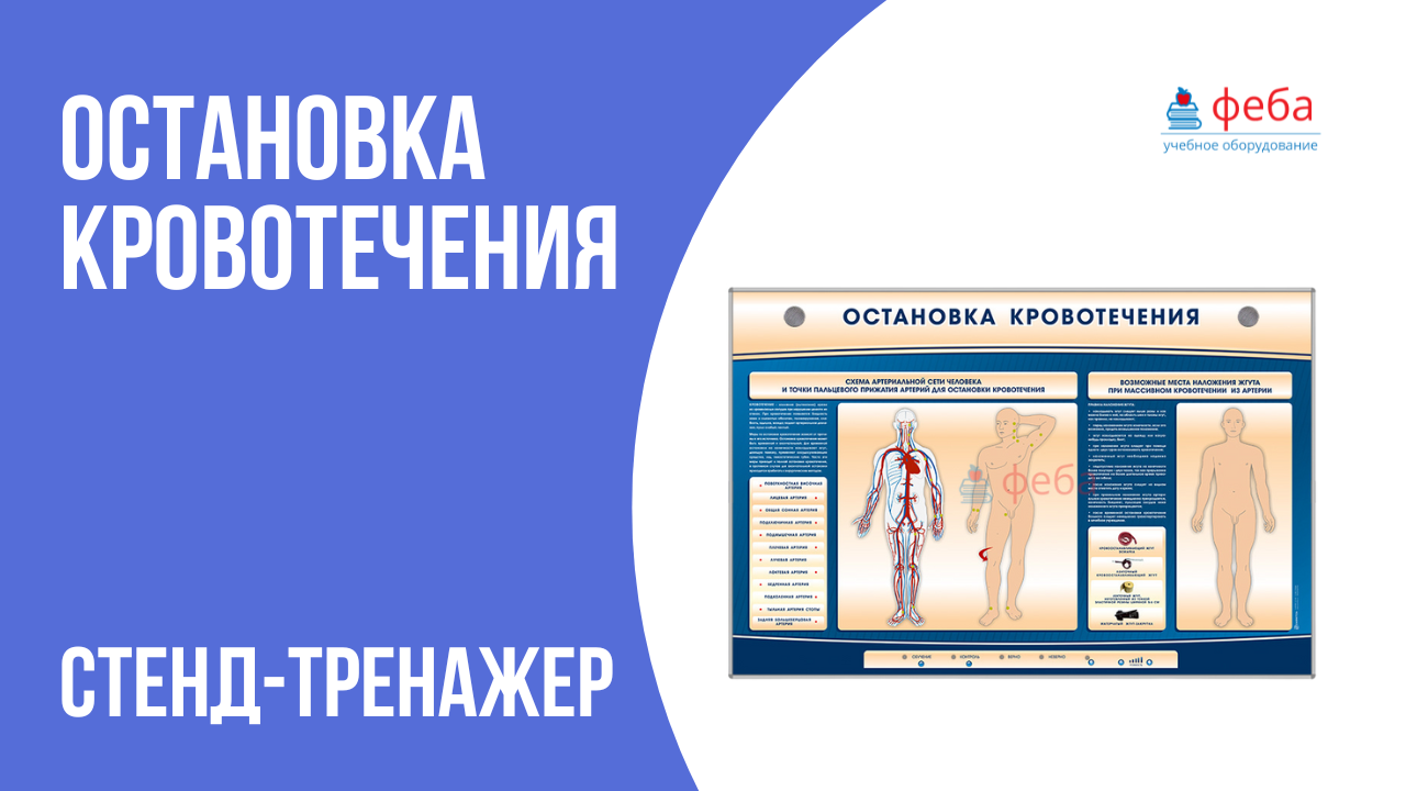 Электрифицированный стенд «Остановка кровотечения»