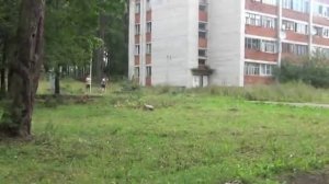 Нивелир Н-3 (3я поверка-простой способ)