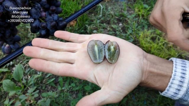 Кумир смотреть онлайн