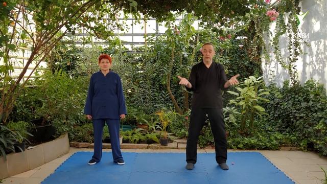 Тайцзи Цигун 18 форм.  Объяснение