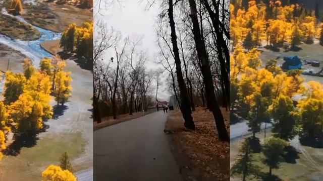 Весна 2021. Прогулка по Труханову острову в Киеве.