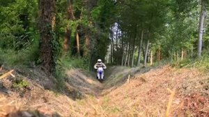 Yamaha wr250f