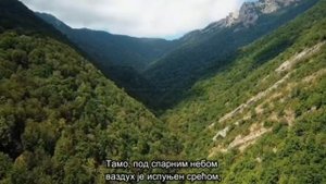 Screen_Recording_20220704-164931_YouTube.mp4