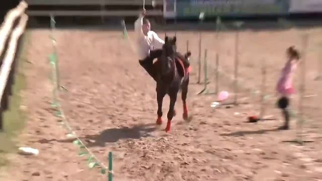 Экскурсии на ферму миниатюрных лошадок «СОЗИДАТЕЛЬ» смотреть онлайн