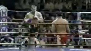 Andy Hug vs Mirko Crocop