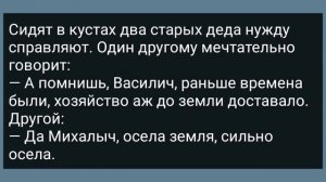 Вдова Позвала Соседа Сделать ей Массаж! Сборник Свежих Анекдотов! Юмор!