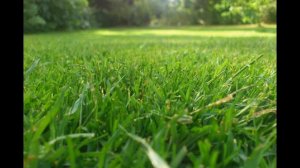 Я СУМИШЕВСКИЙ   ОГОНЬ  ПРОМЕТЕЯ