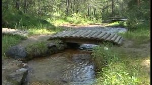 Le Terme di Calalzo di Cadore